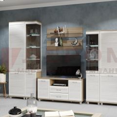 Гостиная Мелисса Композиция 5 (корпус Ясень Асахи, фасад Снежный ясень) в Тобольске - tobolsk.mebel24.online | фото 2