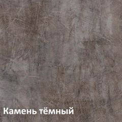 Крафт Полка для обуви 15.63 в Тобольске - tobolsk.mebel24.online | фото 4