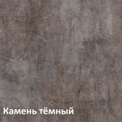Крафт Полка навесная 15.64 в Тобольске - tobolsk.mebel24.online | фото 4