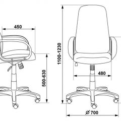 Кресло руководителя Бюрократ CH-808AXSN/G темно-серый 3C1 в Тобольске - tobolsk.mebel24.online | фото 3