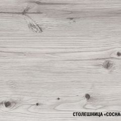 Кухонный гарнитур Сиена компакт 2200 мм в Тобольске - tobolsk.mebel24.online | фото 8