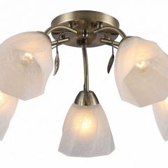 Потолочная люстра Rivoli Olivia Б0052693 в Тобольске - tobolsk.mebel24.online | фото