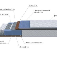 PROxSON Матрас Active Duo M/F (Ткань Трикотаж Эко) 200x190 в Тобольске - tobolsk.mebel24.online | фото 7