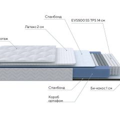 PROxSON Матрас Active Duo S/F (Ткань Трикотаж Эко) 160x190 в Тобольске - tobolsk.mebel24.online | фото 6