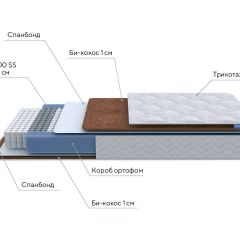 PROxSON Матрас Active F (Ткань Трикотаж Эко) 160x200 в Тобольске - tobolsk.mebel24.online | фото 7