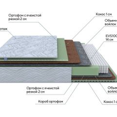 PROxSON Матрас Green M (Tricotage Dream) 140x190 в Тобольске - tobolsk.mebel24.online | фото 7