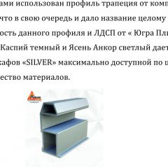 Шкаф-купе 1500 серии SILVER S1+S1+B2+PL2 (2 ящика+1 штанга+1 полка) профиль «Серебро» в Тобольске - tobolsk.mebel24.online | фото 4