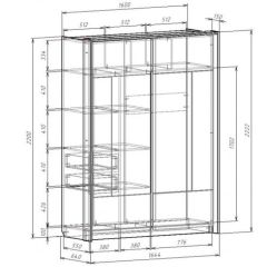 Шкаф-купе 1600 с плитой 22 мм ЛИБЕРТИ в Тобольске - tobolsk.mebel24.online | фото 4