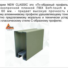 Шкаф-купе 2150 серии NEW CLASSIC K6Z+K1+K6+B22+PL1 (по 2 ящика лев/прав+1 штанга) профиль «Капучино» в Тобольске - tobolsk.mebel24.online | фото 17
