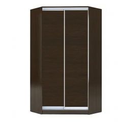 Шкаф-купе ХИТ-У-24-4-11 в Тобольске - tobolsk.mebel24.online | фото 1
