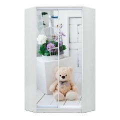 Шкаф-купе ХИТ-У-R-23-64-77 в Тобольске - tobolsk.mebel24.online | фото