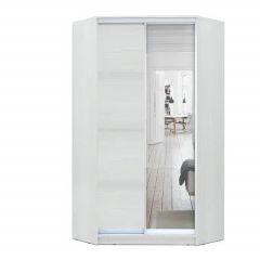 Шкаф-купе ХИТ-У-R-24-64-15 в Тобольске - tobolsk.mebel24.online | фото 1