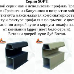 Шкаф-купе 1400 серии SOFT D1+D3+B2+PL1 (2 ящика+1штанга) профиль «Графит» в Тобольске - tobolsk.mebel24.online | фото 5