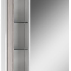Шкаф-зеркало Uno 60 Дуб серый левый/правый Домино (DU1503HZ) в Тобольске - tobolsk.mebel24.online | фото 3