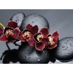 Стол обеденный Бостон Ст101.1 орхидеи в Тобольске - tobolsk.mebel24.online | фото 3