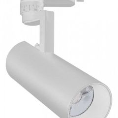 Светильник на штанге Escada 20029 20029TRA/01LED SWH в Тобольске - tobolsk.mebel24.online | фото