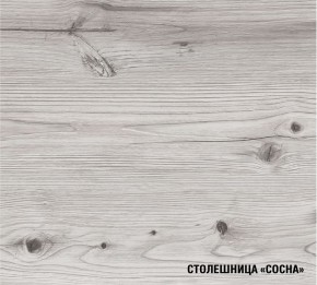 АСАЯ Кухонный гарнитур Экстра (3000 мм) в Тобольске - tobolsk.mebel24.online | фото 8