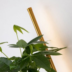 Бра Favourite Greenery 4050-1W в Тобольске - tobolsk.mebel24.online | фото 10