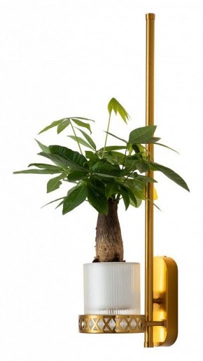 Бра Favourite Greenery 4050-1W в Тобольске - tobolsk.mebel24.online | фото 3