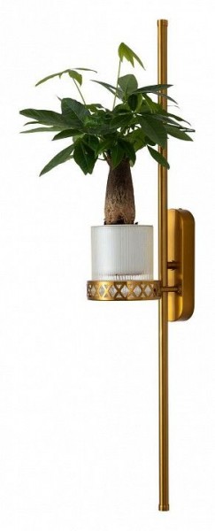 Бра Favourite Greenery 4050-2W в Тобольске - tobolsk.mebel24.online | фото 11