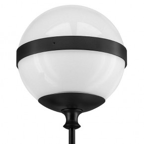 Бра Lightstar Globo 813617 в Тобольске - tobolsk.mebel24.online | фото 3