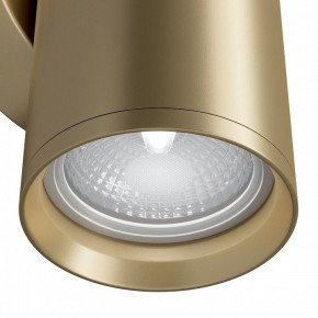 Бра Maytoni Focus S C068WL-02MG в Тобольске - tobolsk.mebel24.online | фото 4