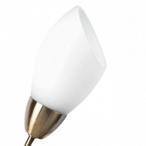 Бра MW-Light Нежность 7 356023001 в Тобольске - tobolsk.mebel24.online | фото 2