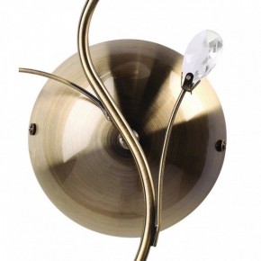 Бра MW-Light Нежность 7 356023001 в Тобольске - tobolsk.mebel24.online | фото 3