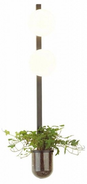 Бра Odeon Light Flower 4681/2WA в Тобольске - tobolsk.mebel24.online | фото 3