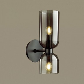 Бра Odeon Light Orinoco 4804/2W в Тобольске - tobolsk.mebel24.online | фото 2
