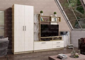 ДАРЬЯ Гостиная (Крафт серый/Крафт белый) в Тобольске - tobolsk.mebel24.online | фото