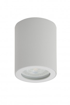 DK3007-WH Накладной светильник влагозащ., IP 44, 15 Вт, GU10, белый, алюминий в Тобольске - tobolsk.mebel24.online | фото 1