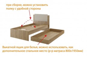 Дуглас (подростковая) М14 Кровать в Тобольске - tobolsk.mebel24.online | фото 5