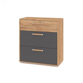 ФЛОРИДА Ф41 Комод (дуб золотой/графит) в Тобольске - tobolsk.mebel24.online | фото