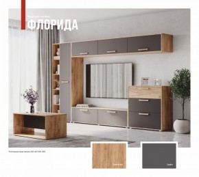 ФЛОРИДА Гостиная (модульная) дуб золотой/графит в Тобольске - tobolsk.mebel24.online | фото