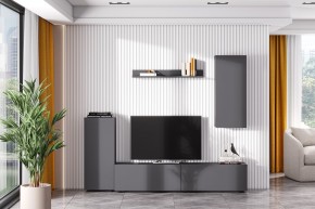 Гостиная МГС 10 (Графит) в Тобольске - tobolsk.mebel24.online | фото 1