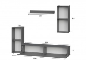 Гостиная МГС 10 (Графит) в Тобольске - tobolsk.mebel24.online | фото 2