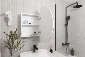 Кларити Шкаф зеркальный 16.312.04 в Тобольске - tobolsk.mebel24.online | фото 2