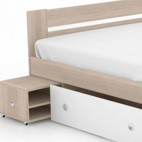 Кровать двуспальная Стелла 160 в Тобольске - tobolsk.mebel24.online | фото 3