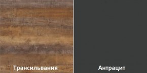 Кухонный гарнитур угловой Трансильвания 2400x1600 мм (Стол. 38 мм) в Тобольске - tobolsk.mebel24.online | фото 3