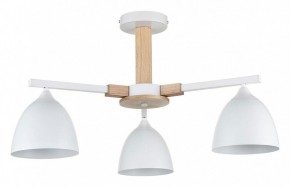 Люстра на штанге Lumion Colange 8095/3C в Тобольске - tobolsk.mebel24.online | фото