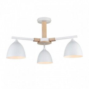 Люстра на штанге Lumion Colange 8095/3C в Тобольске - tobolsk.mebel24.online | фото 2