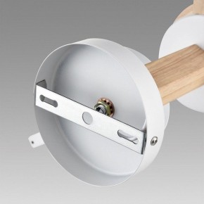 Люстра на штанге Lumion Colange 8095/3C в Тобольске - tobolsk.mebel24.online | фото 6