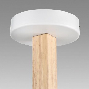Люстра на штанге Lumion Colange 8095/3C в Тобольске - tobolsk.mebel24.online | фото 9