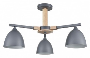 Люстра на штанге Lumion Colange 8096/3C в Тобольске - tobolsk.mebel24.online | фото