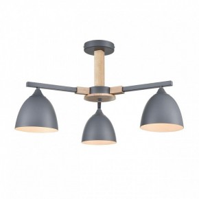 Люстра на штанге Lumion Colange 8096/3C в Тобольске - tobolsk.mebel24.online | фото 2