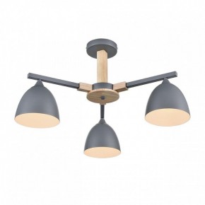 Люстра на штанге Lumion Colange 8096/3C в Тобольске - tobolsk.mebel24.online | фото 3