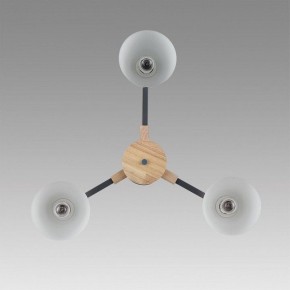 Люстра на штанге Lumion Colange 8096/3C в Тобольске - tobolsk.mebel24.online | фото 4
