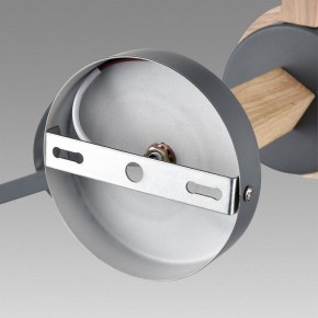 Люстра на штанге Lumion Colange 8096/3C в Тобольске - tobolsk.mebel24.online | фото 6