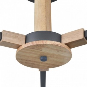 Люстра на штанге Lumion Colange 8096/3C в Тобольске - tobolsk.mebel24.online | фото 7